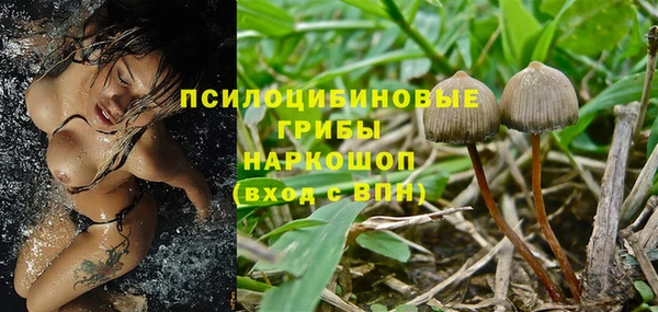 амф Алзамай