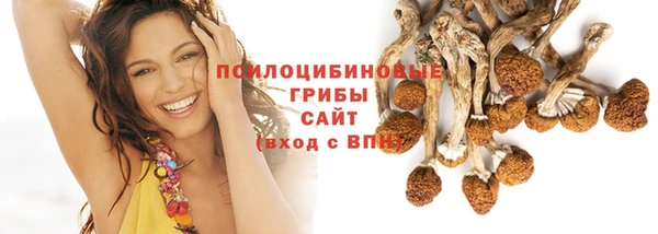 тгк Абдулино